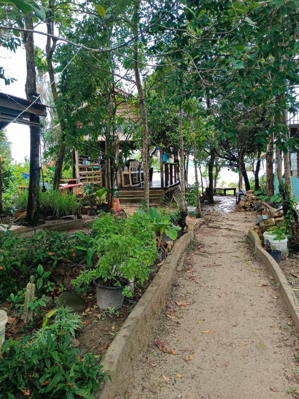 Dragonfly Guesthouse Koh Rong Sanloem Luaran gambar