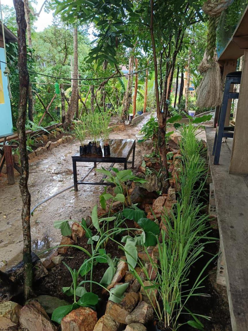Dragonfly Guesthouse Koh Rong Sanloem Luaran gambar